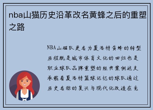 nba山猫历史沿革改名黄蜂之后的重塑之路